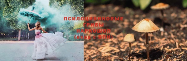 прущий лед Михайловск