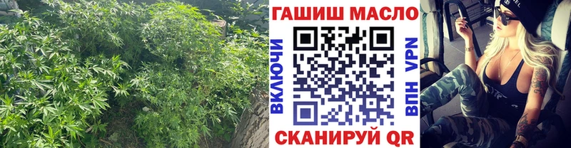 где купить   Рассказово  ТГК жижа 