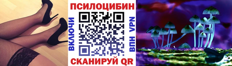 shop наркотические препараты Рассказово Псилоцибиновые грибы Psilocybe продажа наркотиков