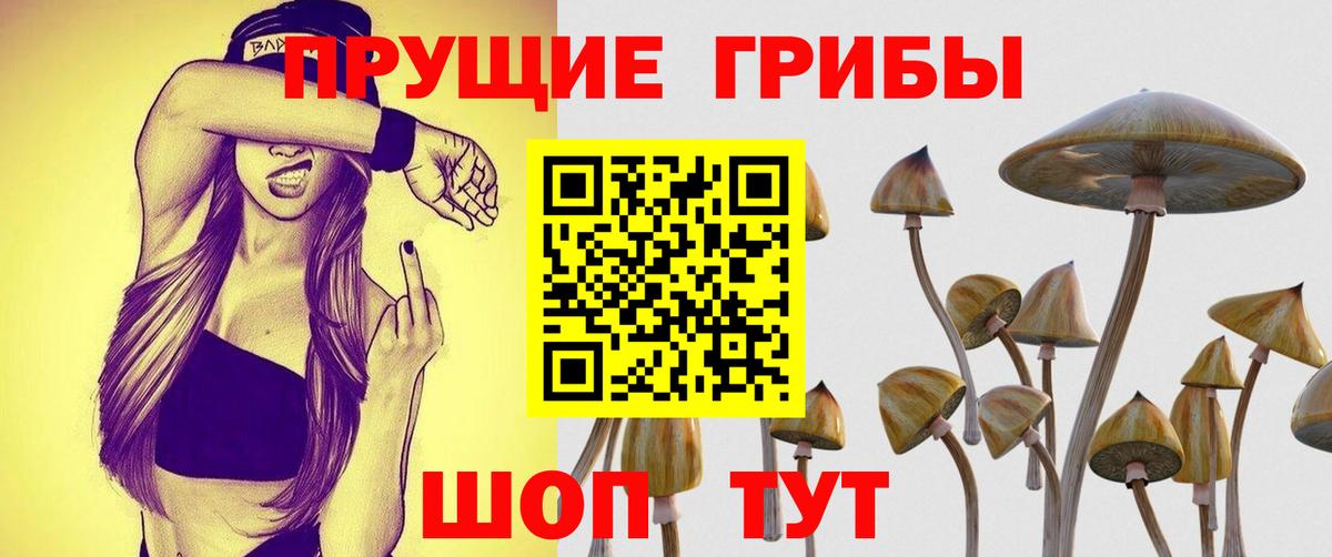 Псилоцибиновые грибы ЛСД Рассказово
