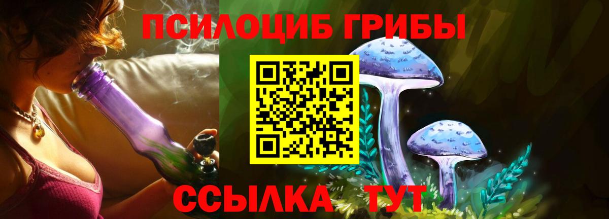 Псилоцибиновые грибы прущие грибы  Вход с VPN  Рассказово 