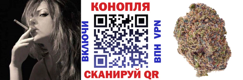 Канабис гибрид  блэк спрут как войти  Рассказово  где продают  